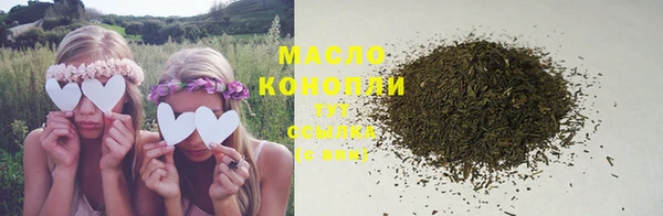 молекула духа Семилуки