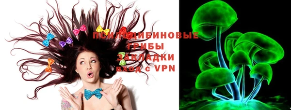 молекула духа Семикаракорск