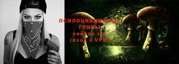 молекула духа Семикаракорск