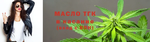 молекула духа Семилуки