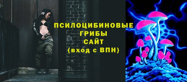 молекула духа Семикаракорск