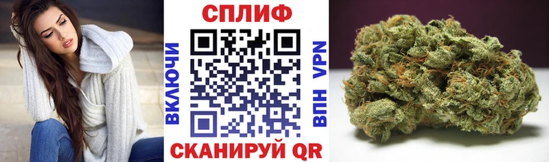 Купить Донской Марихуана семена